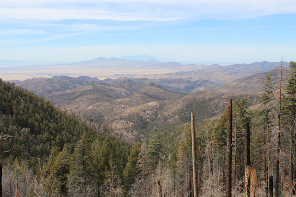 Dos Cabezas Peaks and Mount Graham from Chiricahua Crest Trail
