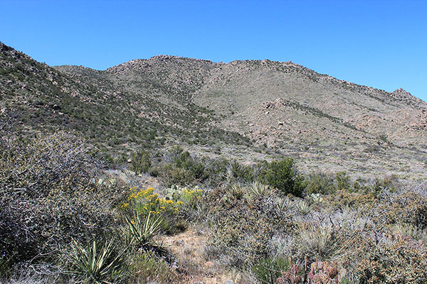 The Date Creek Mountains Highpoint from the SE Canyon road