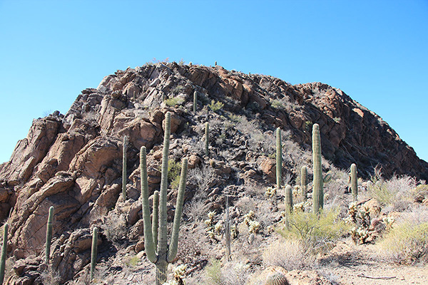 I descended the summit ridge to the east past this the short scramble section