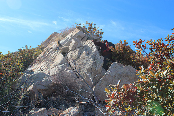 Dave leading midway up the Northeast Ridge of Montezuma Peak