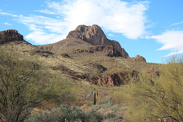 Safford Peak from the Sanctuary Cove
