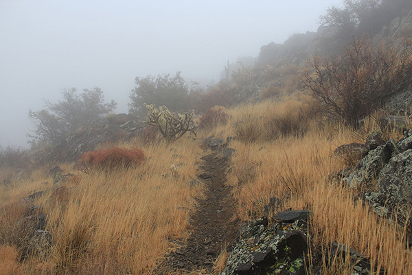 Above the towers I followed a well-marked trail traversing below the ridgeline