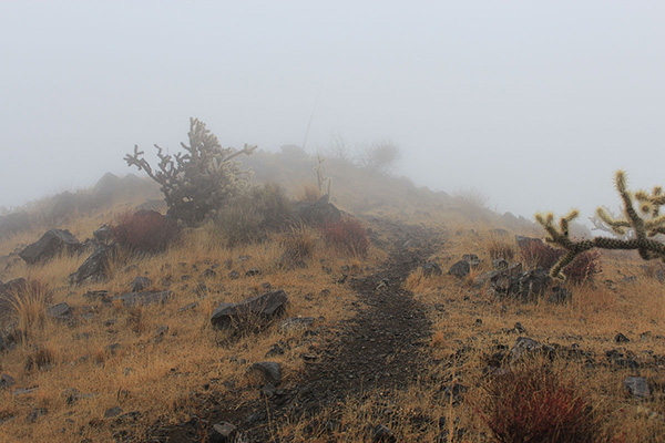 I approach the Crossman Peak summit, marked by a cairn and pole