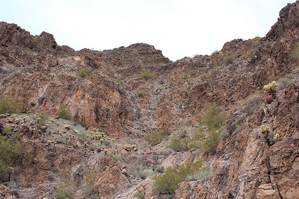 I entered this canyon after traversing left beneath cliffs from the landmark saguaro