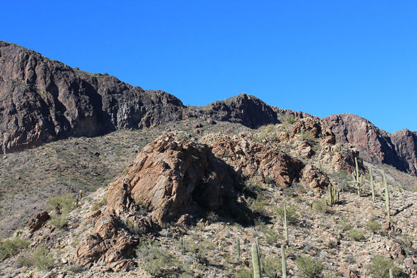 We mostly climbed around the rock outcroppings along the east ridge. The notch is in view above.
