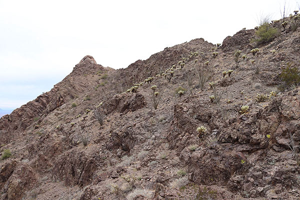 My next goal is to reach the saddle to the right of the summit horn
