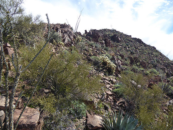 After descending to the saddle and traversing ledges across the wall, we reach the summit ridge and climb higher