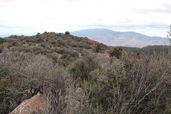 The Webster Mountain summit and Pinal Peak from the WEBSTER benchmark
