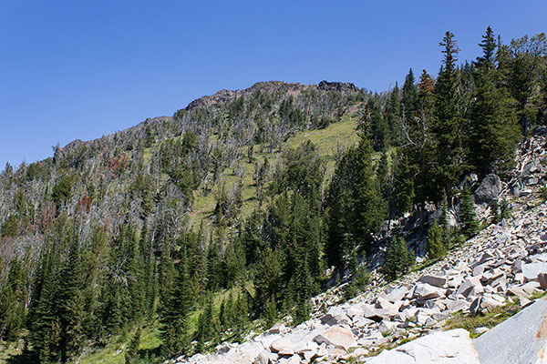 Ruby Peak from a talus slope below the the South Ridge