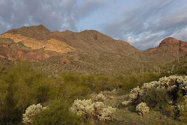 Sawyer Peak, the highpoint of Tres Alamos, from the road hike