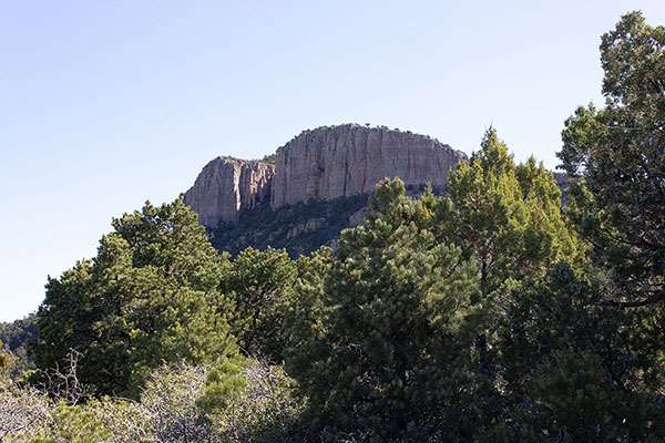 I have a view of the cliffs above from an opening in the forest
