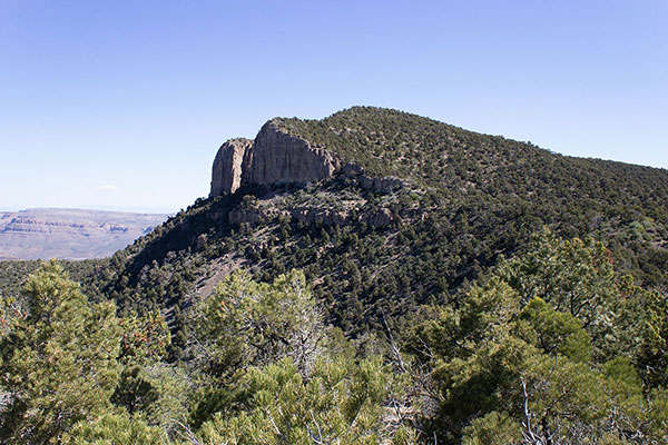 The South Ridge of Grand Wash Cliffs leading to the summit, Duncan Benchmark