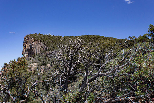 Travel was easiest by following the left margin of the South Ridge