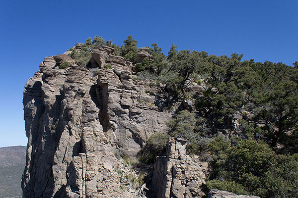 I climbed to the top of these cliffs on the right through open forest