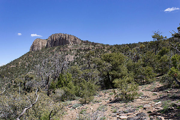My view back towards the cliffs from the open NW Ridge