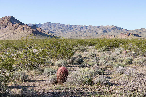 Mount Perkins lies to the southwest from my campsite