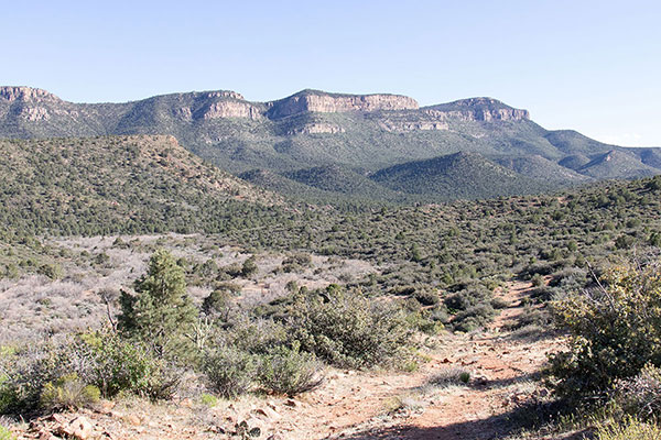 The Grand Wash Cliffs rise above our evening campsite