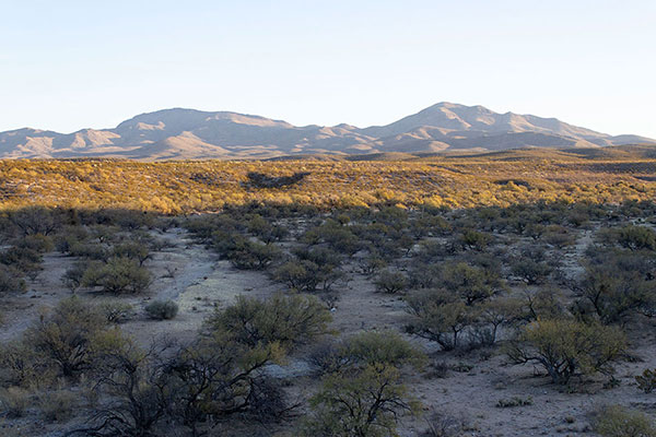 Johnny Lyon Hills from N. Cascabel Road in the San Pedro Valley