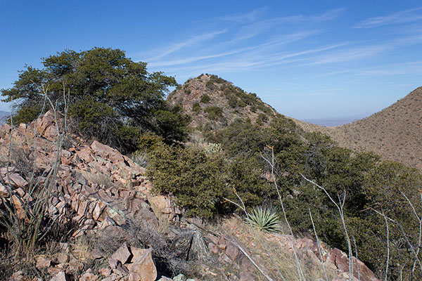 The Johnny Lyon Hills Highpoint from the Southeast Ridge