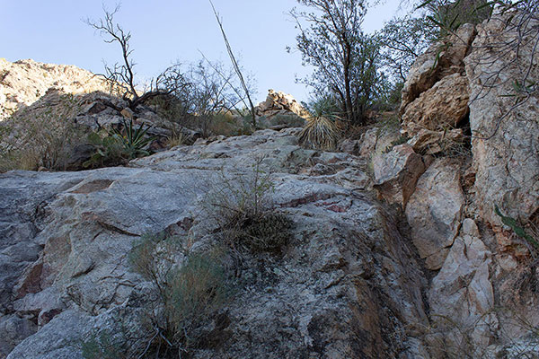I climbed these rock slabs low on the trail
