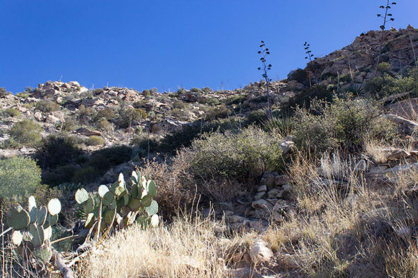 Approaching the ridge