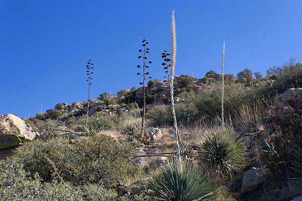The summit lies just above