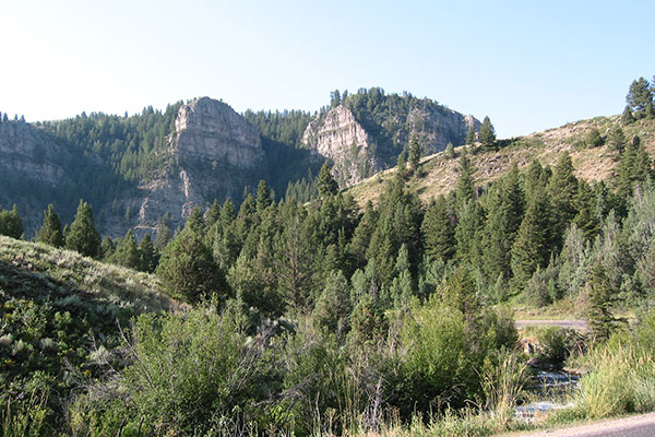 Dropping into Logan Canyon, Utah