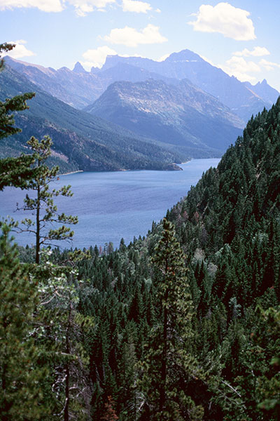 From Bertha Falls Trail, Waterton Lakes National Park