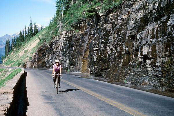 Weeping Wall along Going to the Sun Road, Glacier National Park