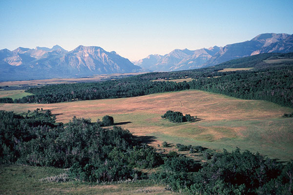 West of Pincher Creek, Alberta