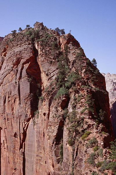Traverse on Angels Landing, Zion National Park