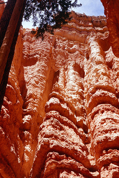 From Navaho Loop Trail, Bryce Canyon National Park