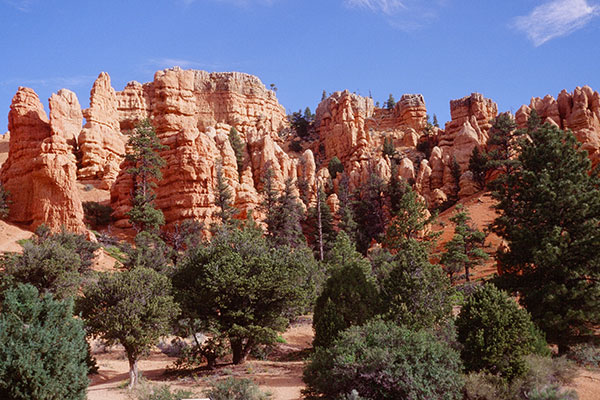 Red Rock Canyon, Utah