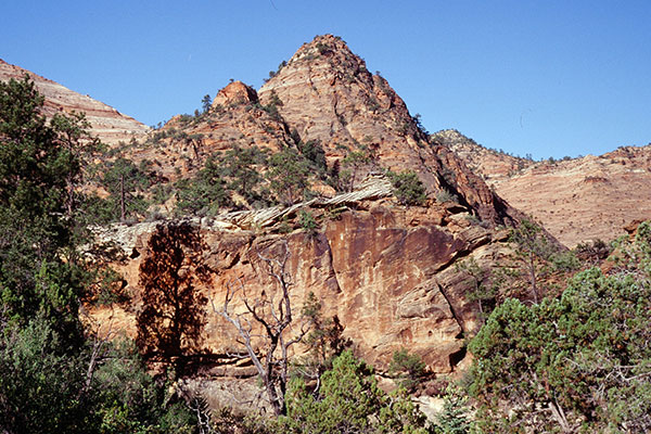 View above the tunnel, Zion National Park