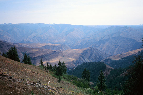 Hell's Canyon Overlook