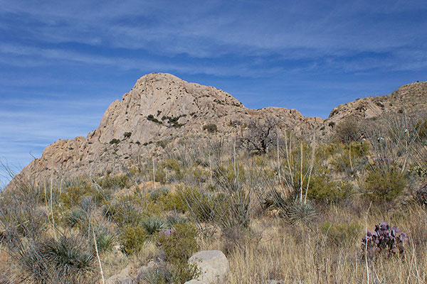 Climbing out of Chino Canyon towards the East Ridge of Elephant Head