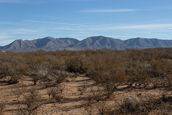 Black Diamond Peak and Henry Peak from Middlemarch Road