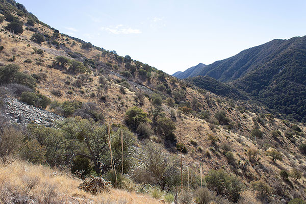 Traversing the southwest slopes towards the south ridge of Black Diamond Peak