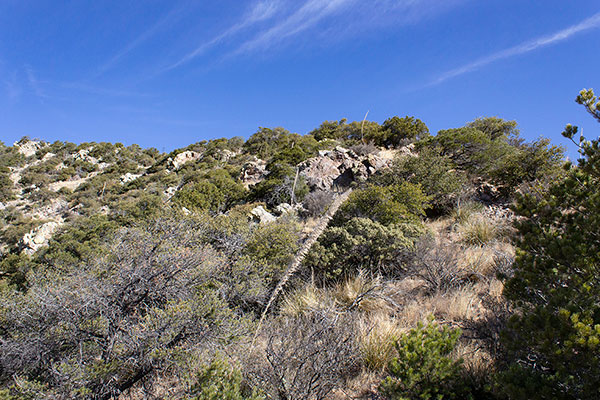 Looking up the south ridge of Black Diamond Peak