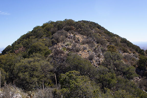 The Henry Peak summit is in view further along the northeast ridge