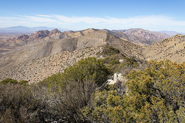 The Dragoon Mountains to the north from Henry Peak