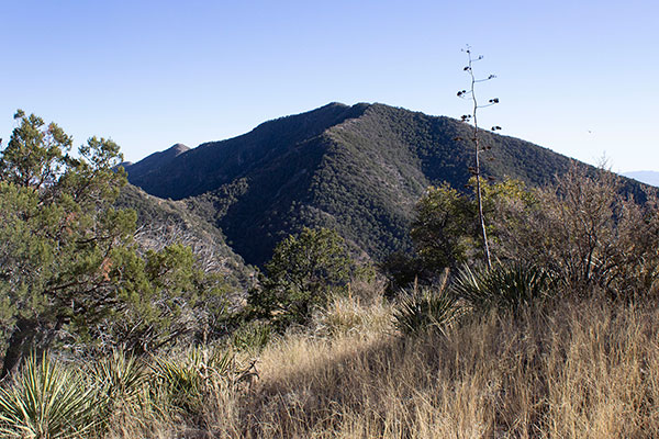 My last look back towards Henry Peak from the first saddle