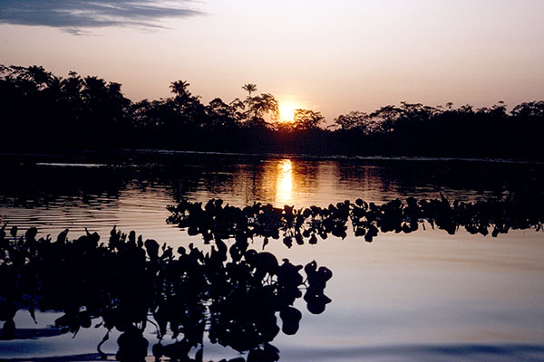 Imuya Lake at sunset, Ecuador