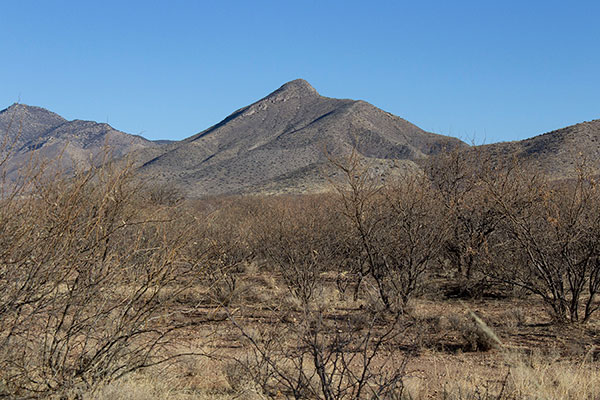 Mescal Peak from near our parking spot