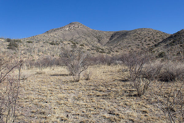 We select the long ridge rising from the left to gain the south ridge on the right