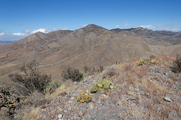The Whetstone Mountains to the north