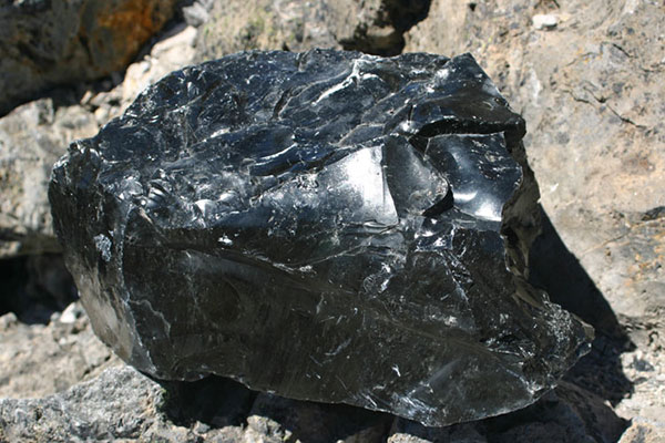Obsidian on Big Obsidian Flow, Newberry National Volcanic Monument