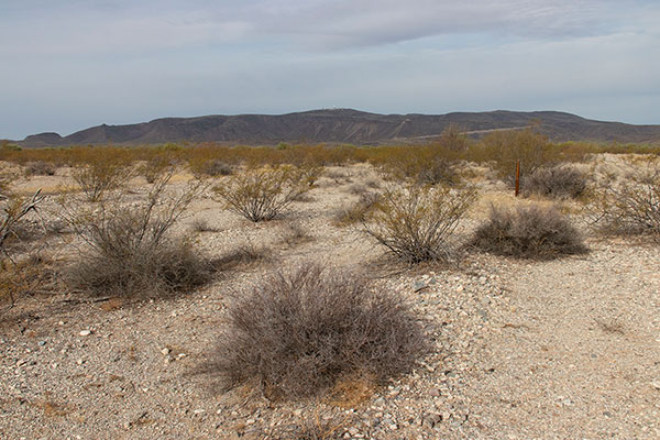 Childs Mountain to the west from near AZ Hwy 85