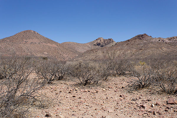 Peak 5829 and the South Perilla Mountains from my road hike