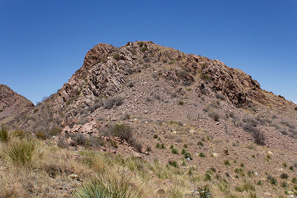 Perilla Benchmark from the South Ridge